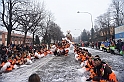 Sfilata carri Carnevale di Torino_420